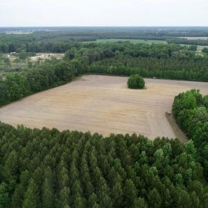 Photo of SOLD!  80 Acres of Farm and Timber Land for Sale in Pitt County NC!