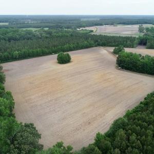 Photo of SOLD!  80 Acres of Farm and Timber Land for Sale in Pitt County NC!