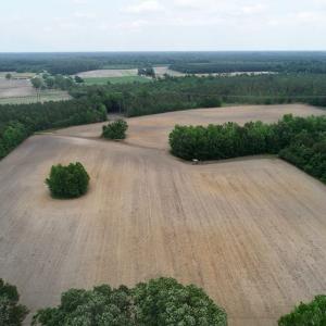 Photo of SOLD!  80 Acres of Farm and Timber Land for Sale in Pitt County NC!