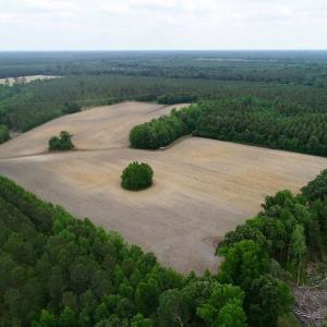Photo of SOLD!  80 Acres of Farm and Timber Land for Sale in Pitt County NC!