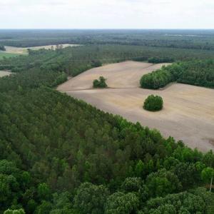 Photo of SOLD!  80 Acres of Farm and Timber Land for Sale in Pitt County NC!