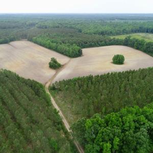 Photo of SOLD!  80 Acres of Farm and Timber Land for Sale in Pitt County NC!