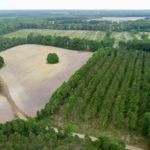 Photo of SOLD!  80 Acres of Farm and Timber Land for Sale in Pitt County NC!