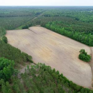 Photo of SOLD!  80 Acres of Farm and Timber Land for Sale in Pitt County NC!