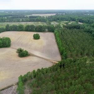 Photo of SOLD!  80 Acres of Farm and Timber Land for Sale in Pitt County NC!