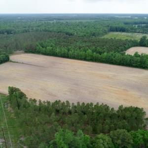 Photo of SOLD!  80 Acres of Farm and Timber Land for Sale in Pitt County NC!