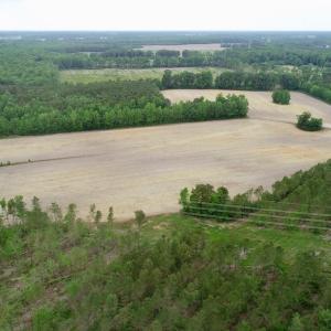 Photo of SOLD!  80 Acres of Farm and Timber Land for Sale in Pitt County NC!