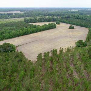 Photo of SOLD!  80 Acres of Farm and Timber Land for Sale in Pitt County NC!