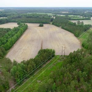 Photo of SOLD!  80 Acres of Farm and Timber Land for Sale in Pitt County NC!