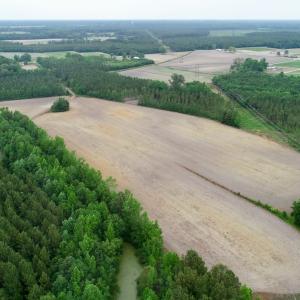 Photo of SOLD!  80 Acres of Farm and Timber Land for Sale in Pitt County NC!