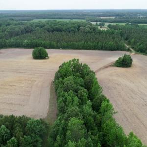 Photo of SOLD!  80 Acres of Farm and Timber Land for Sale in Pitt County NC!