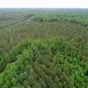 Photo of SOLD!  80 Acres of Farm and Timber Land for Sale in Pitt County NC!