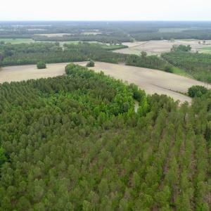 Photo of SOLD!  80 Acres of Farm and Timber Land for Sale in Pitt County NC!