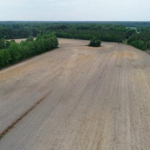 Photo of SOLD!  80 Acres of Farm and Timber Land for Sale in Pitt County NC!