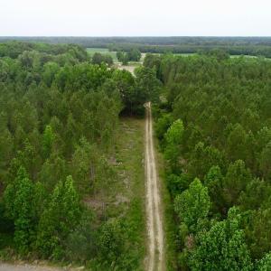 Photo of SOLD!  80 Acres of Farm and Timber Land for Sale in Pitt County NC!