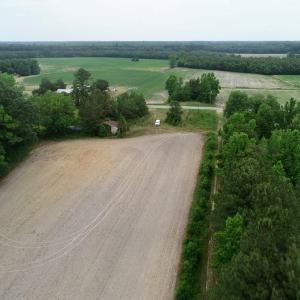 Photo of SOLD!  80 Acres of Farm and Timber Land for Sale in Pitt County NC!