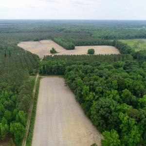 Photo of SOLD!  80 Acres of Farm and Timber Land for Sale in Pitt County NC!