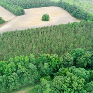 Photo of SOLD!  80 Acres of Farm and Timber Land for Sale in Pitt County NC!