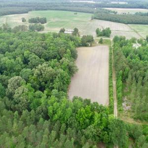 Photo of SOLD!  80 Acres of Farm and Timber Land for Sale in Pitt County NC!