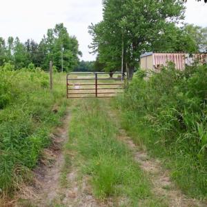 Photo of SOLD!  80 Acres of Farm and Timber Land for Sale in Pitt County NC!