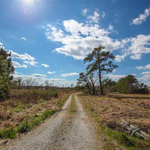 Photo of REDUCED!  15 Acres of Waterfront Land For Sale in Tyrrell County NC!