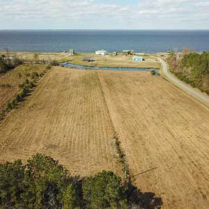 Photo of REDUCED!  15 Acres of Waterfront Land For Sale in Tyrrell County NC!