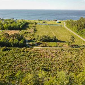 Photo of REDUCED!  15 Acres of Waterfront Land For Sale in Tyrrell County NC!