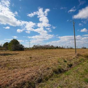 Photo of REDUCED!  15 Acres of Waterfront Land For Sale in Tyrrell County NC!