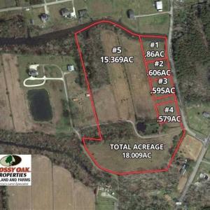 Photo of REDUCED!  15 Acres of Waterfront Land For Sale in Tyrrell County NC!