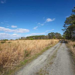 Photo of REDUCED!  15 Acres of Waterfront Land For Sale in Tyrrell County NC!
