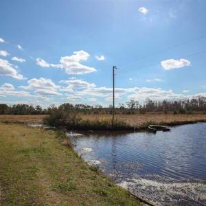 Photo of REDUCED!  15 Acres of Waterfront Land For Sale in Tyrrell County NC!