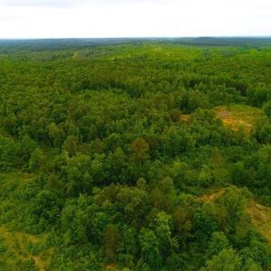 Photo of SOLD! 55 Acres of Residential and Recreational Property For Sale in Chatham County NC!