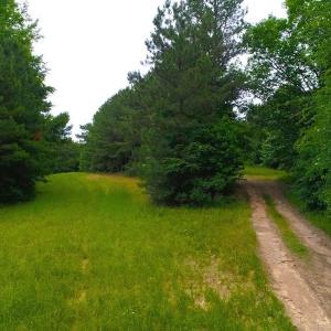 Photo of SOLD! 55 Acres of Residential and Recreational Property For Sale in Chatham County NC!