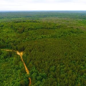 Photo of SOLD! 55 Acres of Residential and Recreational Property For Sale in Chatham County NC!