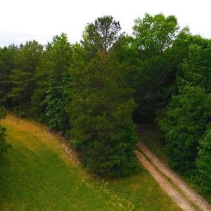 Photo of SOLD! 55 Acres of Residential and Recreational Property For Sale in Chatham County NC!