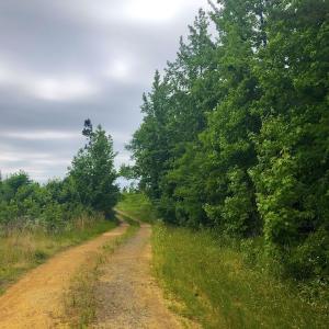Photo of SOLD! 55 Acres of Residential and Recreational Property For Sale in Chatham County NC!