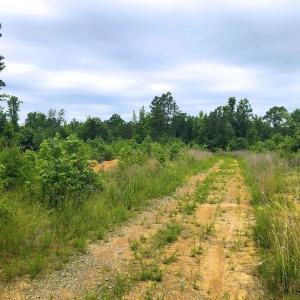 Photo of SOLD! 55 Acres of Residential and Recreational Property For Sale in Chatham County NC!