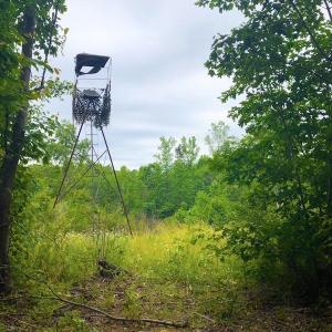Photo of SOLD! 55 Acres of Residential and Recreational Property For Sale in Chatham County NC!