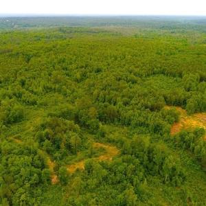 Photo of SOLD! 55 Acres of Residential and Recreational Property For Sale in Chatham County NC!
