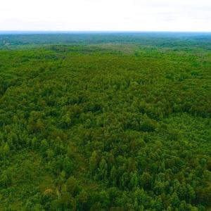 Photo of SOLD! 55 Acres of Residential and Recreational Property For Sale in Chatham County NC!