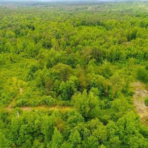 Photo of SOLD! 55 Acres of Residential and Recreational Property For Sale in Chatham County NC!