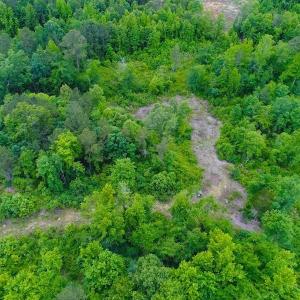 Photo of SOLD! 55 Acres of Residential and Recreational Property For Sale in Chatham County NC!