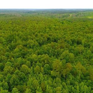 Photo of SOLD! 55 Acres of Residential and Recreational Property For Sale in Chatham County NC!