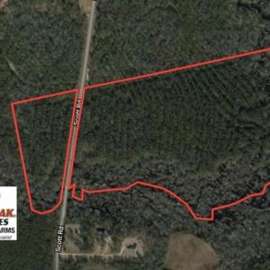 Photo of UNDER CONTRACT!  59 Acres of Hunting and Timber Land for Sale in Pender County NC!