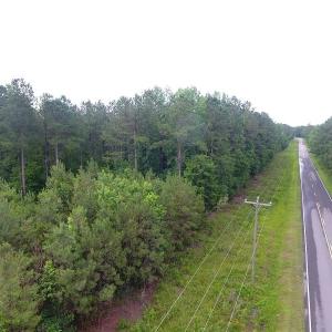 Photo of UNDER CONTRACT!  59 Acres of Hunting and Timber Land for Sale in Pender County NC!