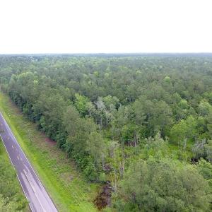 Photo of UNDER CONTRACT!  59 Acres of Hunting and Timber Land for Sale in Pender County NC!