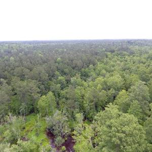 Photo of UNDER CONTRACT!  59 Acres of Hunting and Timber Land for Sale in Pender County NC!