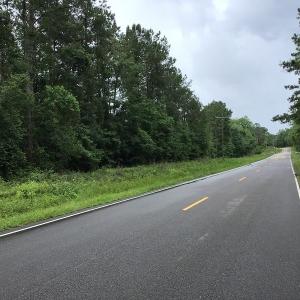 Photo of UNDER CONTRACT!  59 Acres of Hunting and Timber Land for Sale in Pender County NC!
