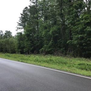 Photo of UNDER CONTRACT!  59 Acres of Hunting and Timber Land for Sale in Pender County NC!