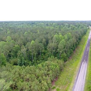 Photo of UNDER CONTRACT!  59 Acres of Hunting and Timber Land for Sale in Pender County NC!